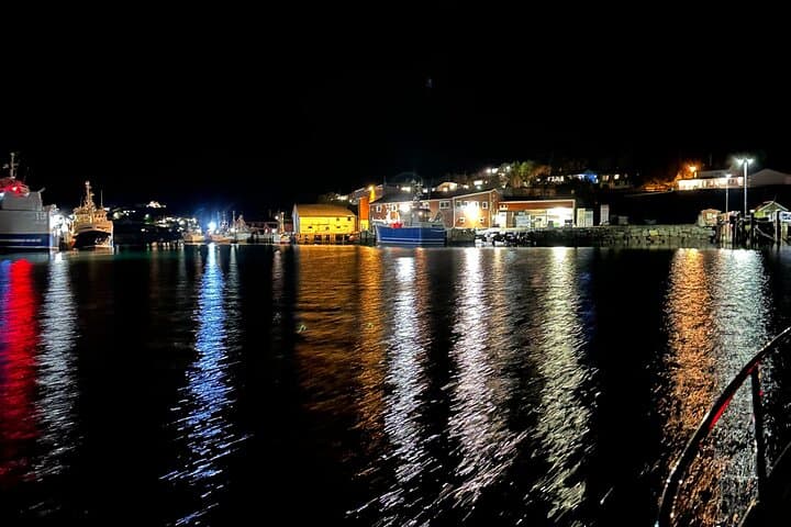 Private Winter Evening Cruise in Nappstraumen — Northern Lights from Leknes photo 6
