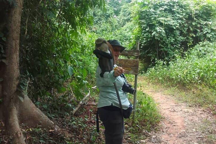 Afadjato & Wli Falls: 2-Day Private Hiking Tour from Hohoe photo 5