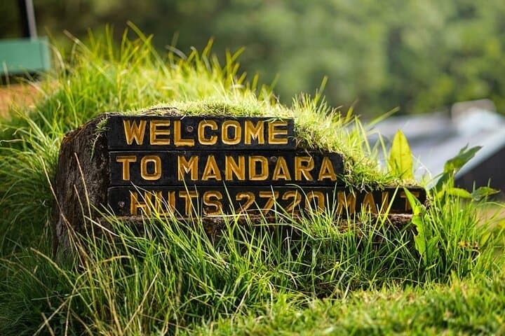 Marangu Route Day Trip — Mandara Hut Hike on Mount Kilimanjaro photo 2