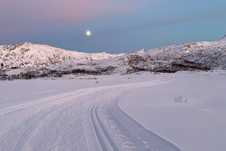 Private 3‑Hour Snowshoe Hike in Lofoten: Arctic Trails & Northern Lights Options