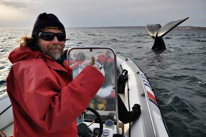 3-Day Puerto Madryn & Peninsula Valdés: Peninsula Wildlife and Optional Whale Watching photo 2