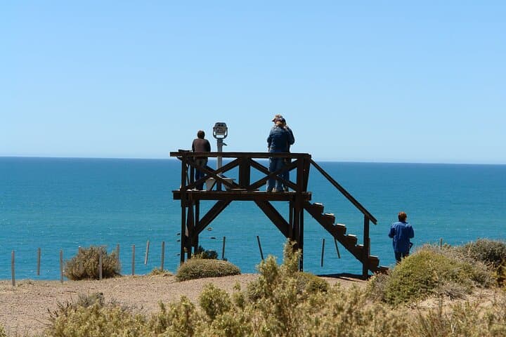 3-Day Puerto Madryn & Peninsula Valdés: Peninsula Wildlife and Optional Whale Watching photo 5