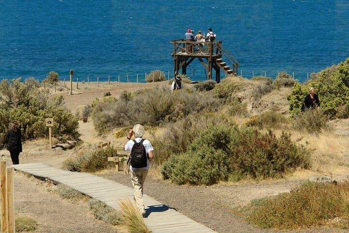 3-Day Puerto Madryn & Peninsula Valdés: Peninsula Wildlife and Optional Whale Watching photo 3