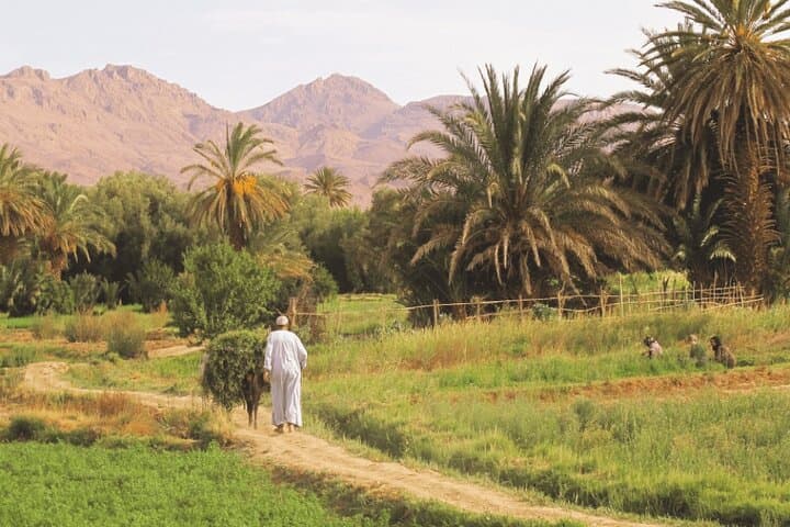 11-Day Morocco: Imperial Cities, Sahara Dunes, Atlas Mountains & Atlantic Coast photo 3