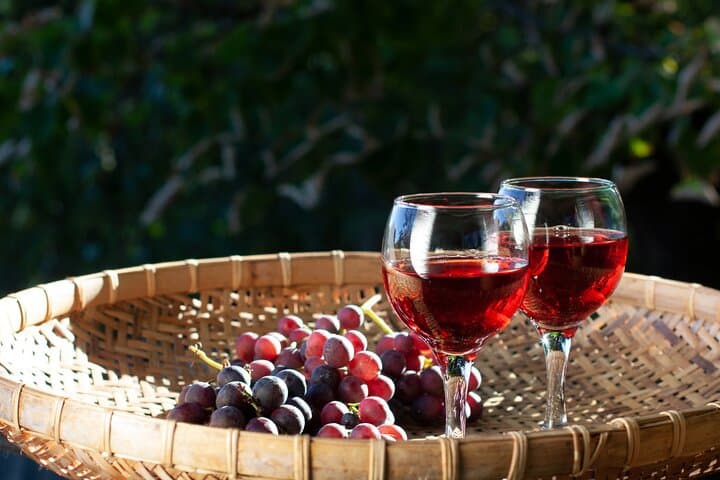Cadaqués Wine & Dalí House Private Full-Day Tour from Barcelona photo 6