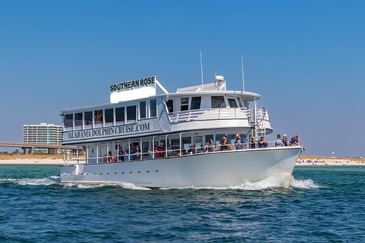 Orange Beach Dolphin Cruise: 2-Hour Bottlenose Sightseeing & Wildlife Tour photo 2