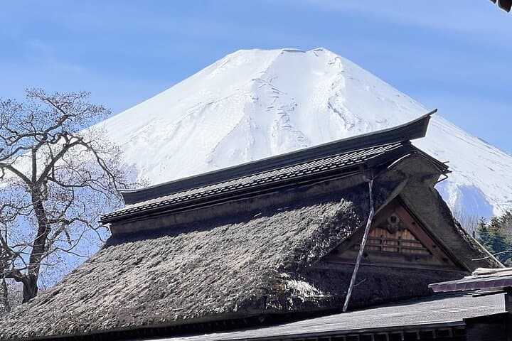 Private English-speaking Day Tour to Mount Fuji & Hakone from Tokyo photo 2