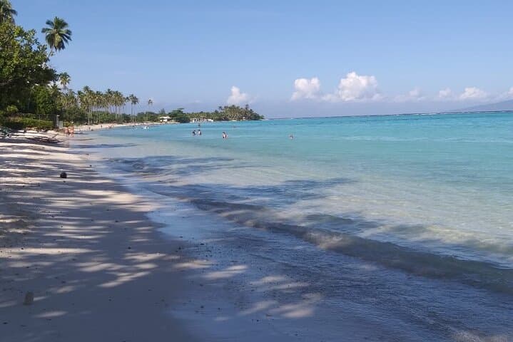 Discovery of Tahiti Nui Island: Full-Day Cultural & Scenic Tour from Papeete photo 4