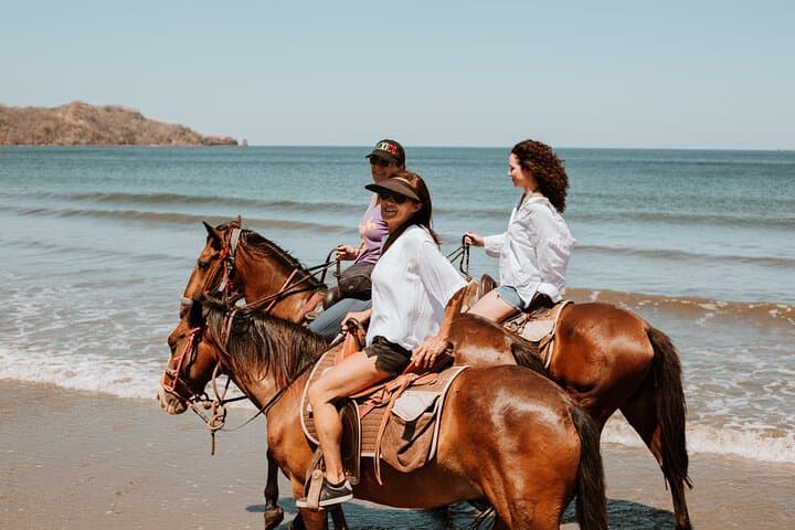 Sunrise Horseback Ride on Playa Conchal — 1‑Hour Private Beach Tour photo 5