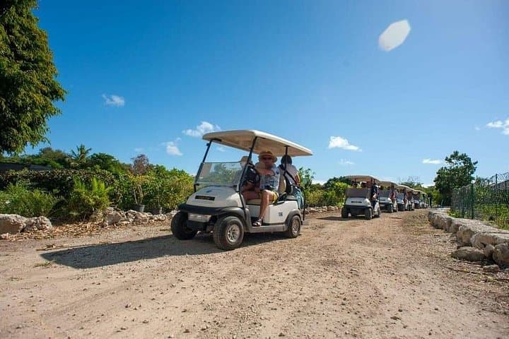 Punta Cana Golf Cart Eco Tour: Indigenous Eyes, Orchards & Inrinri Lagoon photo 2