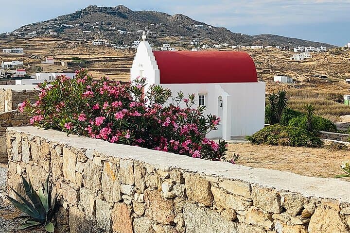 Private 4-Hour Mykonos Highlights Tour: Windmills, Beaches & Ano Mera photo 2