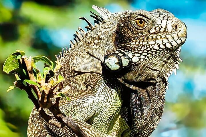 Curaçao Private Customized Island Tour: Hidden Gems, Beaches & Local Culture photo 6