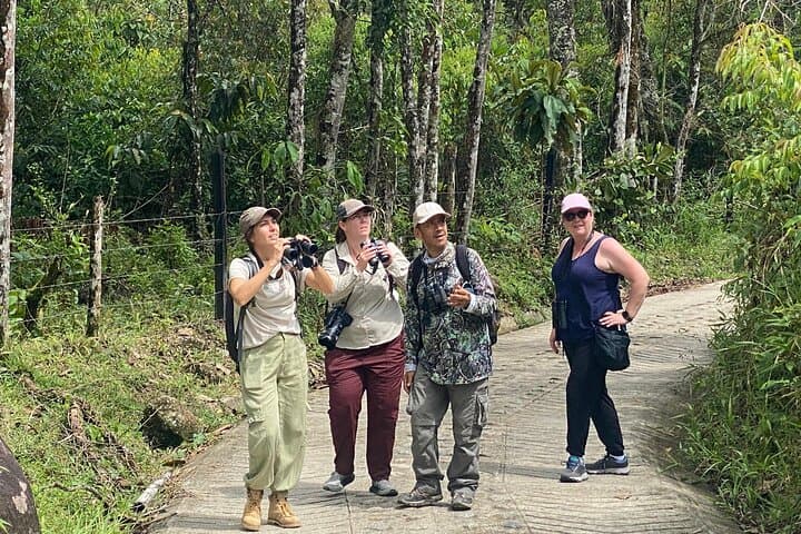 Jungle Birdwatching and River-Pools Tour from Guatapé: Birds, Rivers & Canyons photo 4