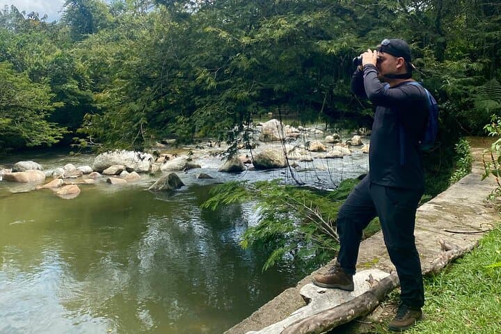 Jungle Birdwatching and River-Pools Tour from Guatapé: Birds, Rivers & Canyons photo 5
