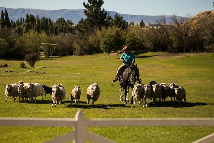 2-Day El Calafate Escape: Perito Moreno Glacier & Patagonian Estancia Experience photo 3