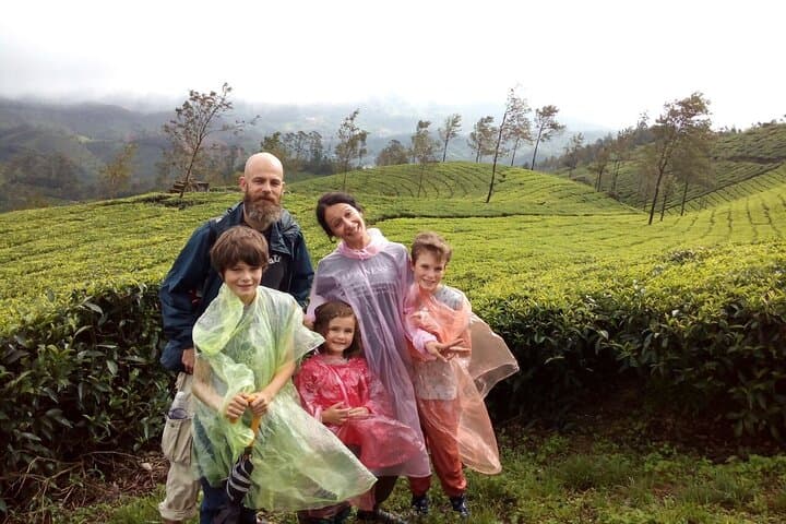 Half-Day Trekking in Munnar — 14 km Tea-Plantation Trail & Shola Forest Views photo 2