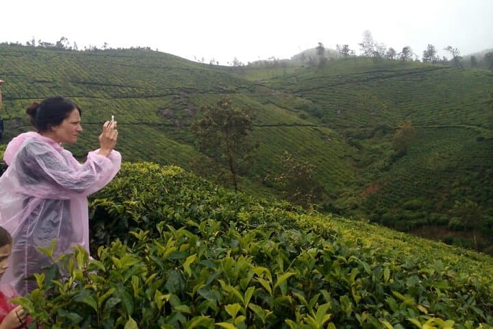 Half-Day Trekking in Munnar — 14 km Tea-Plantation Trail & Shola Forest Views photo 3