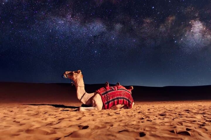 Half-Day Doha Desert Safari: Camel Rides, Dune Bashing & Sandboarding photo 2