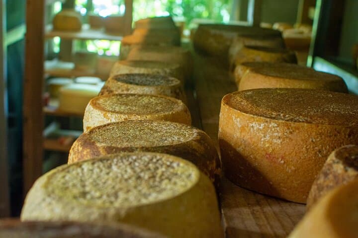 Canaan de Rivas Farm Cheese Tour — Private Guided Sustainable Cheese Experience Near San José photo 3