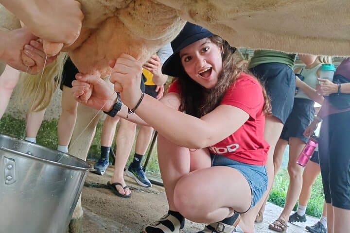 Canaan de Rivas Farm Cheese Tour — Private Guided Sustainable Cheese Experience Near San José photo 6