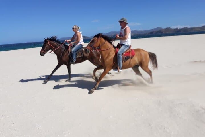 Sunrise Horseback Ride on Playa Conchal — 1‑Hour Private Beach Tour photo 2