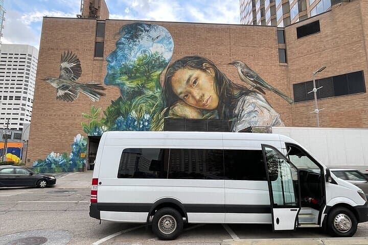 Executive Private Houston City Tour — Best of Downtown, Museum District & River Oaks photo 4