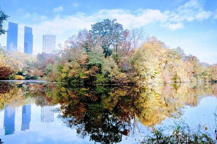 Central Park Scandal & Vice Walking Tour — Hidden Histories of Manhattan's Park photo 3