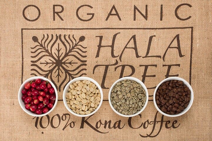 Kona Coffee Tasting in Ka'a'awa — Farm-to-Cup Coffee Flight & Education photo 4