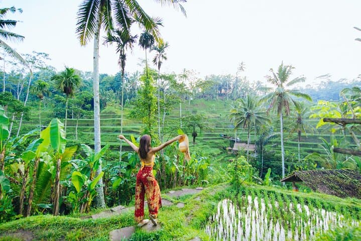 Ubud Private Tour: Waterfalls, Rice Terraces & Monkey Forest Full-Day Adventure