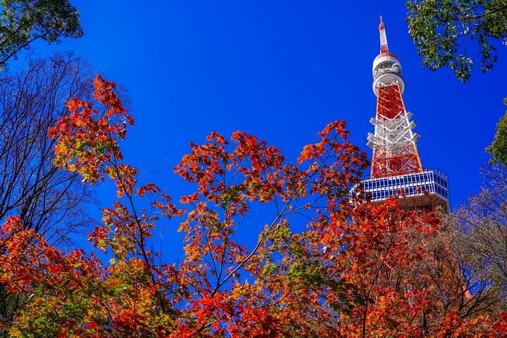 Private Tokyo Cultural Tour: Kimono Photo Shoot, Hamarikyu Gardens & Skytree Views photo 4