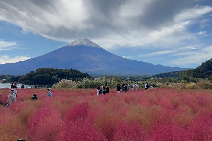 Private English-speaking Day Tour to Mount Fuji & Hakone from Tokyo photo 3