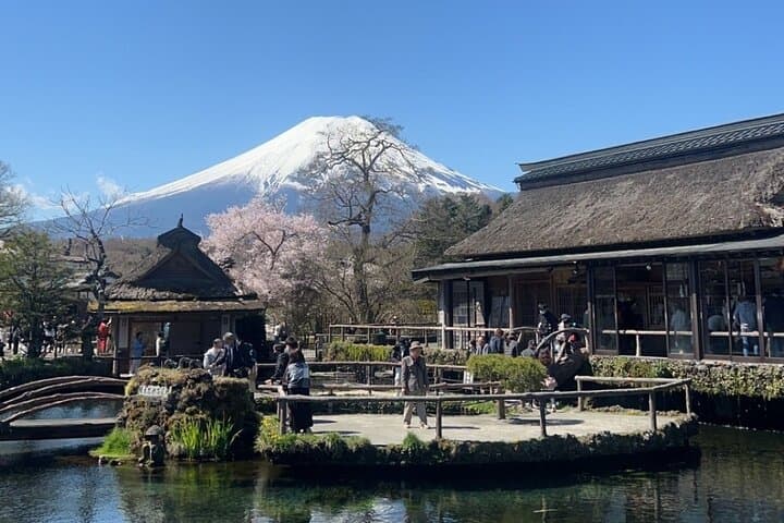Private English-speaking Day Tour to Mount Fuji & Hakone from Tokyo photo 4