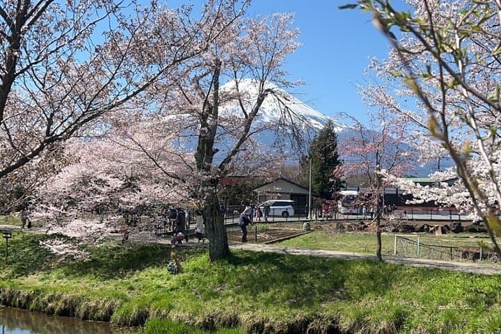 Private English-speaking Day Tour to Mount Fuji & Hakone from Tokyo photo 5