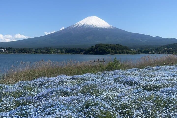 Private English-speaking Day Tour to Mount Fuji & Hakone from Tokyo photo 6