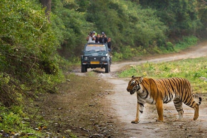 2-Day Jim Corbett Jungle Safari from Pune: Flight, Resort & Guided Jeep Safari photo 2