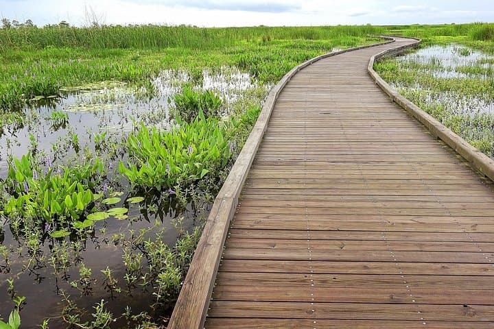 Drive the Creole Nature Trail: Self-Guided Audio Tour of Louisiana's Gulf Coast Wetlands photo 1