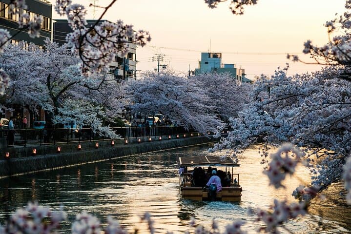 Full-Day Private Tokyo City Tour: Shibuya, Meiji Shrine & Skytree photo 4
