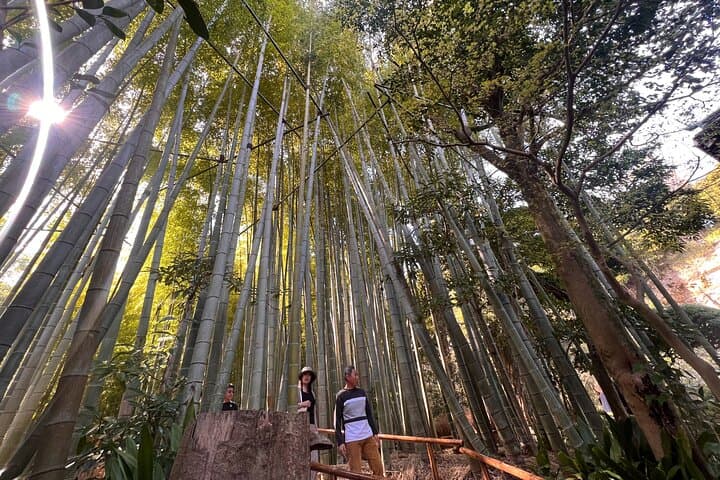 Kamakura and Enoshima Day Tour: Great Buddha, Hase-dera & Coastal Views photo 3