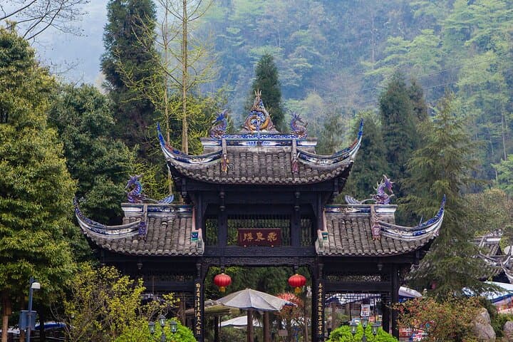 Dujiangyan, Qingcheng Mountain & Panda Park Private Day Tour from Chengdu photo 3