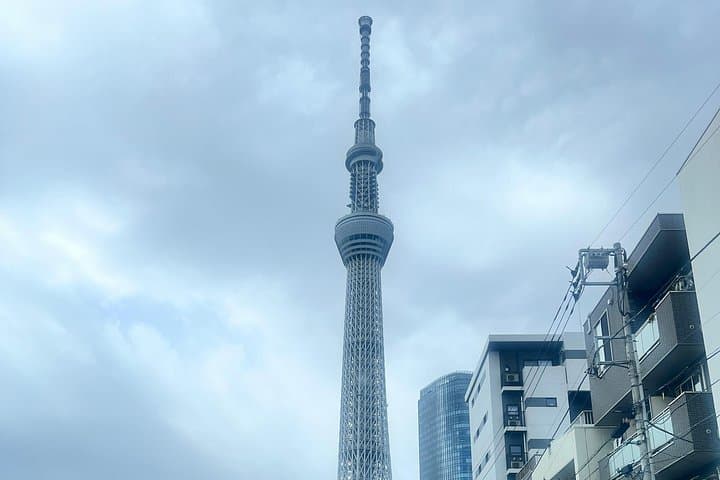 Private English-Speaking Day Tour of Tokyo: Shibuya, Meiji Jingu & Skytree