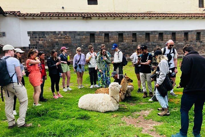 Historical Walking Tour of Cusco: Inca Streets, Colonial Palaces & Local Flavors photo 1