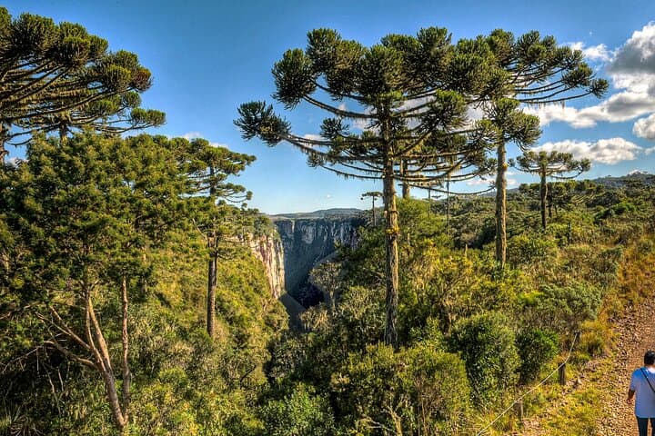 Itaimbezinho Canyon Trail and Picnic at Aparados da Serra photo 6