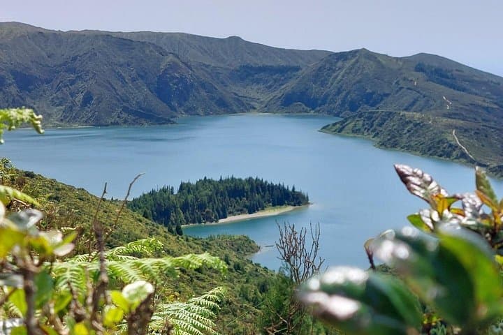 Half-Day Lagoa do Fogo and Gin Library Tour on São Miguel