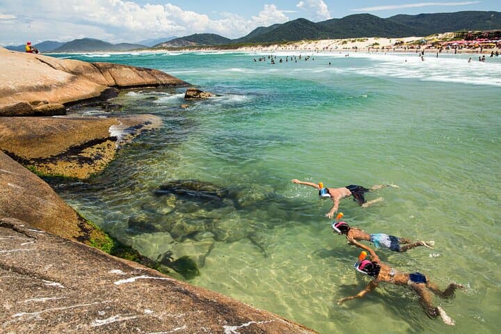 Island of Magic: Full-Day Florianópolis City Tour & Coastal Highlights photo 3