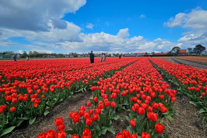 Keukenhof and Delft Day Tour from Amsterdam — Tulip Fields & Delftware photo 3