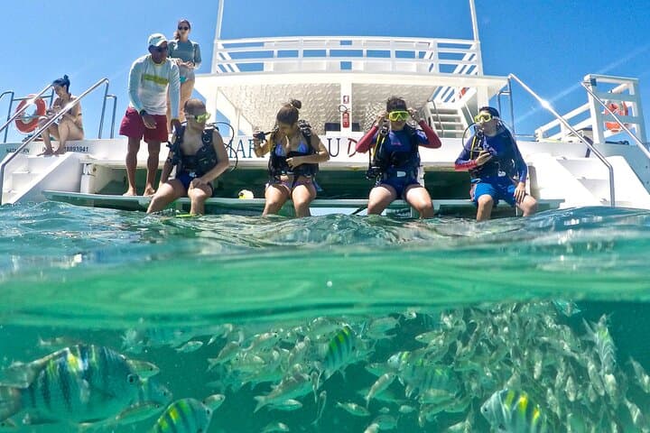 Explore Maracajaú's Parrachos Reef: Catamaran Snorkeling from Natal photo 2