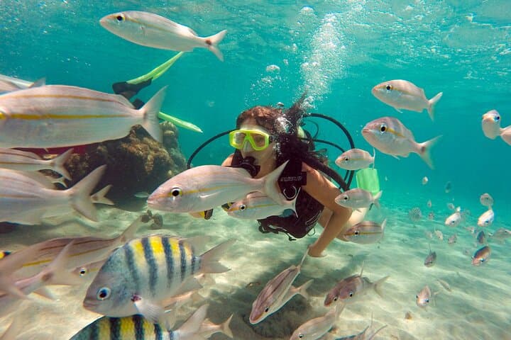 Explore Maracajaú's Parrachos Reef: Catamaran Snorkeling from Natal photo 3