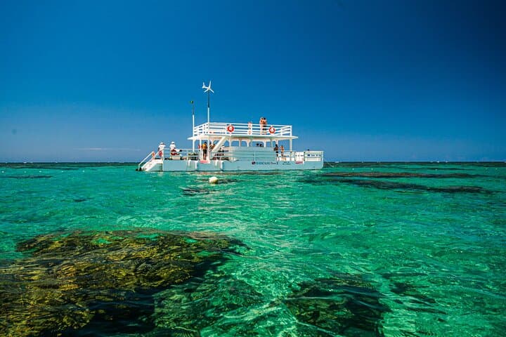 Explore Maracajaú's Parrachos Reef: Catamaran Snorkeling from Natal photo 6