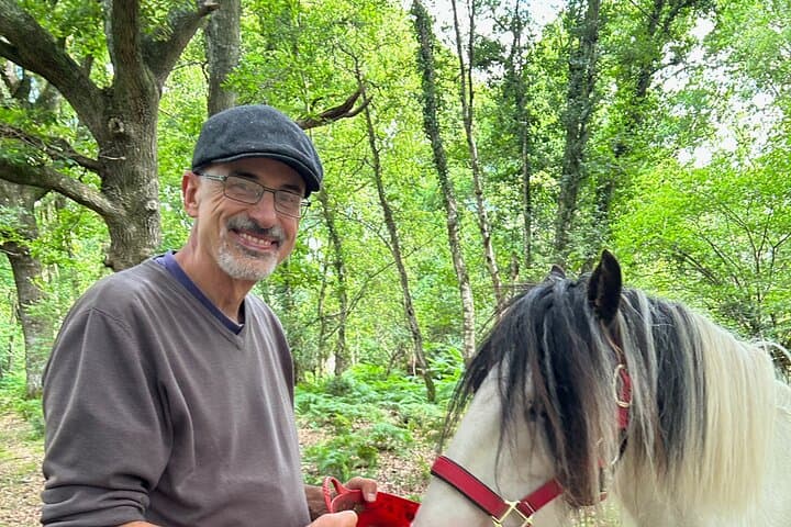 Pack Pony Wild Camping in Ancient Woodland, Dorset — 3-Day Pony-Packed Wild Camp photo 3