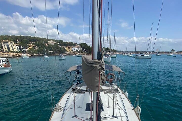 Day Sailing Palma Bay on the Horizon: Illetes, Cala Vella & Snorkel photo 5